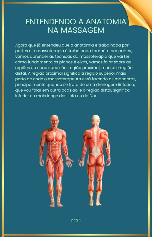 PÁGINA EBOOK ANATOMIA